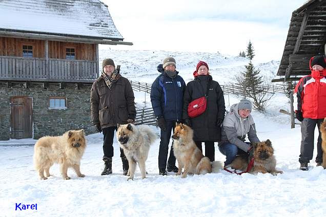 13.11.2016 - Eurasier Herbst Treffen